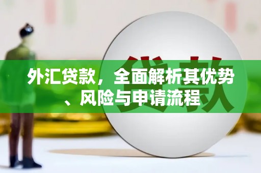旌阳外汇贷款，全面解析其优势、风险与申请流程