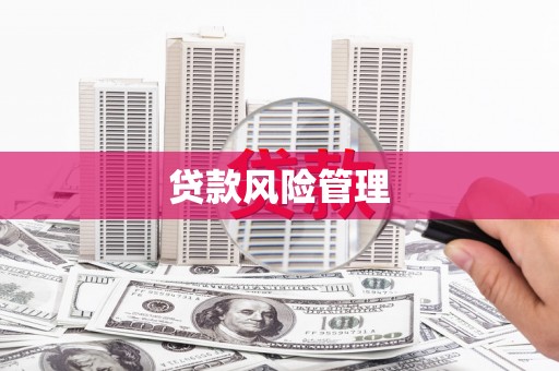 旌阳贷款风险管理