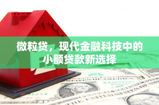 旌阳微粒贷，现代金融科技中的小额贷款新选择
