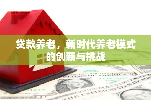 旌阳贷款养老，新时代养老模式的创新与挑战