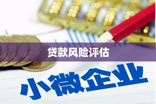 旌阳贷款风险评估