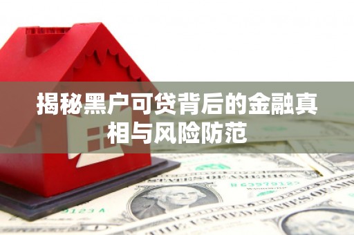 旌阳揭秘黑户可贷背后的金融真相与风险防范
