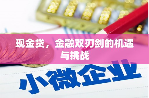 旌阳现金贷，金融双刃剑的机遇与挑战