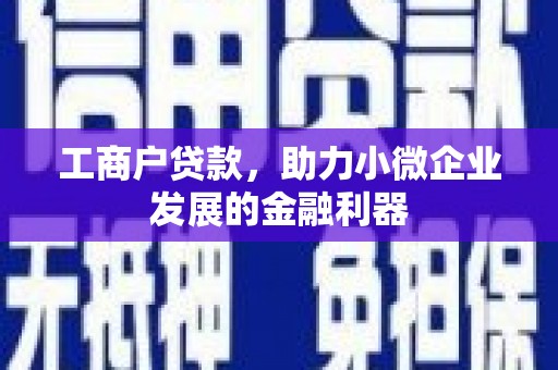 旌阳工商户贷款，助力小微企业发展的金融利器