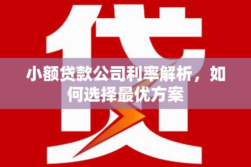 旌阳小额贷款公司利率解析，如何选择最优方案