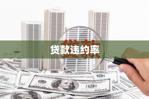 旌阳贷款违约率