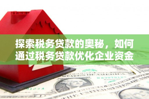 旌阳探索税务贷款的奥秘，如何通过税务贷款优化企业资金流