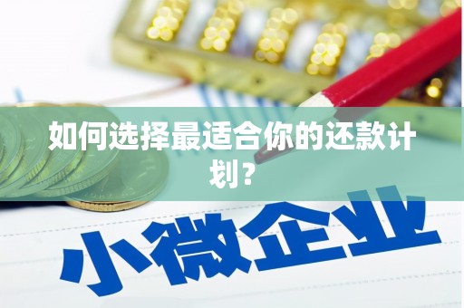 旌阳如何选择最适合你的还款计划？