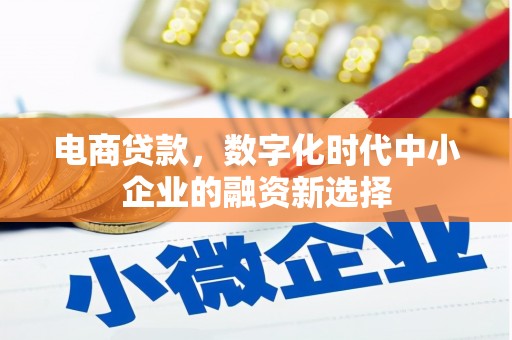 旌阳电商贷款，数字化时代中小企业的融资新选择