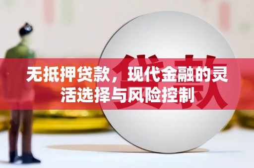 旌阳无抵押贷款，现代金融的灵活选择与风险控制