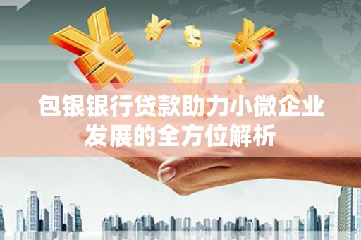 旌阳包银银行贷款助力小微企业发展的全方位解析