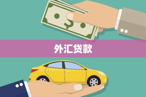 旌阳外汇贷款
