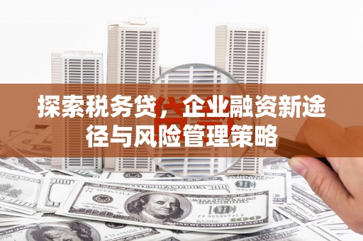 旌阳探索税务贷，企业融资新途径与风险管理策略