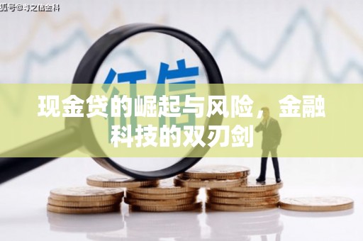 旌阳现金贷的崛起与风险，金融科技的双刃剑