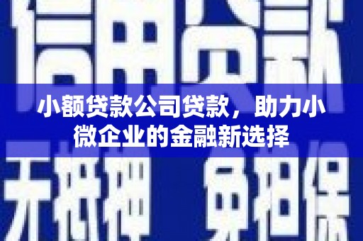 旌阳小额贷款公司贷款，助力小微企业的金融新选择
