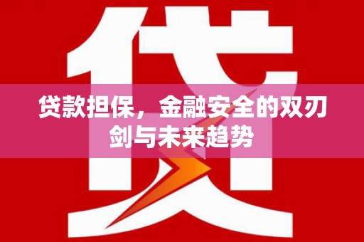 旌阳贷款担保，金融安全的双刃剑与未来趋势