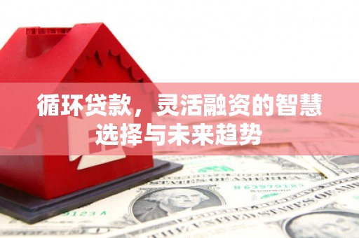 旌阳循环贷款，灵活融资的智慧选择与未来趋势