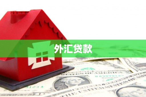 旌阳外汇贷款