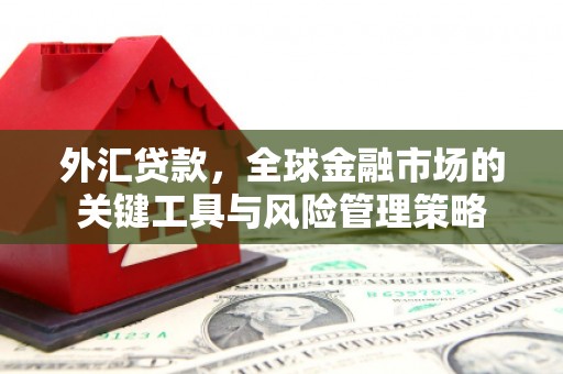 旌阳外汇贷款，全球金融市场的关键工具与风险管理策略