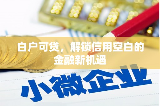 旌阳白户可贷，解锁信用空白的金融新机遇