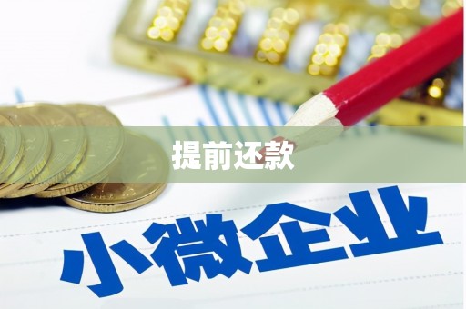 旌阳提前还款