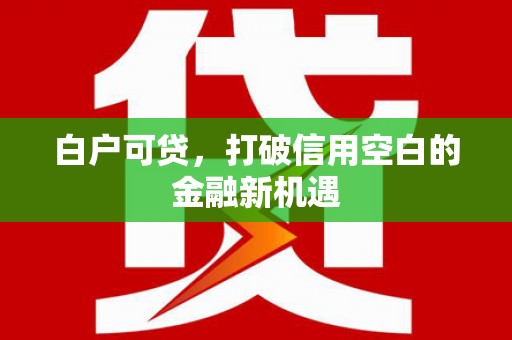 旌阳白户可贷，打破信用空白的金融新机遇