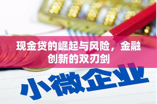 旌阳现金贷的崛起与风险，金融创新的双刃剑