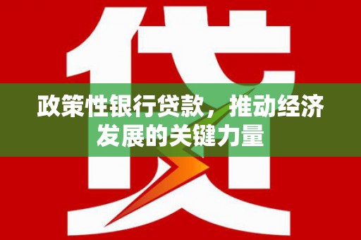 旌阳政策性银行贷款，推动经济发展的关键力量