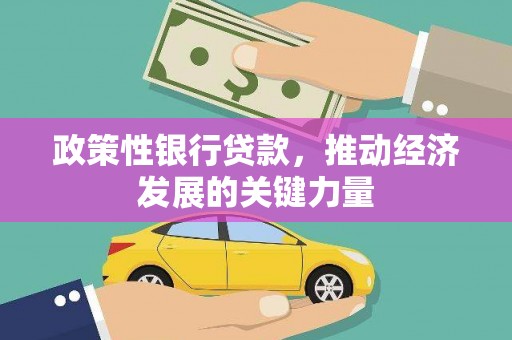 旌阳政策性银行贷款，推动经济发展的关键力量