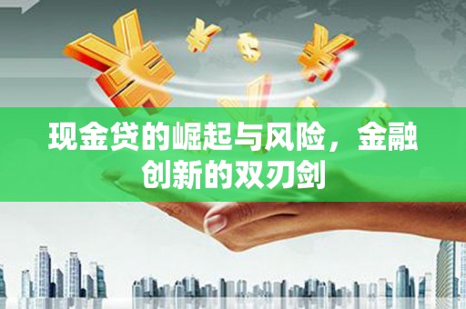 旌阳现金贷的崛起与风险，金融创新的双刃剑