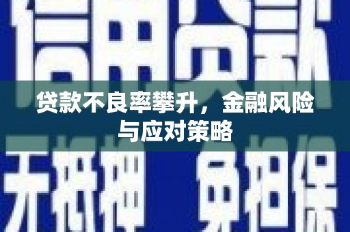 旌阳贷款不良率攀升，金融风险与应对策略