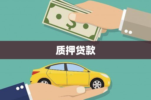 旌阳质押贷款