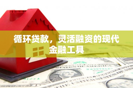 旌阳循环贷款，灵活融资的现代金融工具