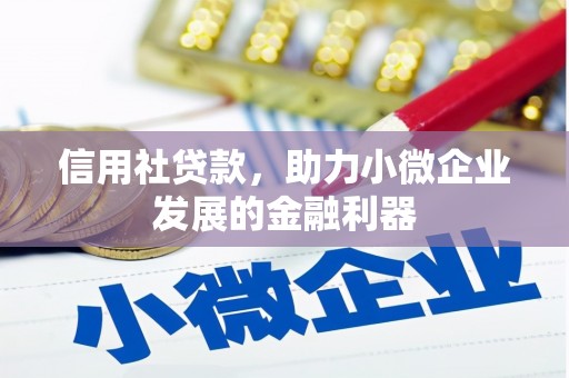 旌阳信用社贷款，助力小微企业发展的金融利器
