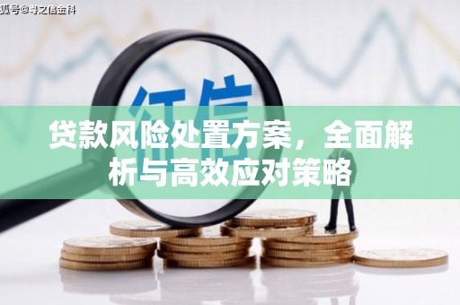 旌阳贷款风险处置方案，全面解析与高效应对策略