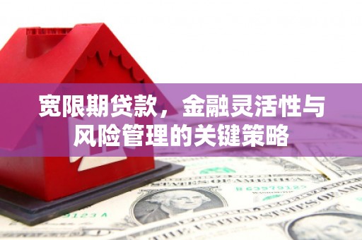 旌阳宽限期贷款，金融灵活性与风险管理的关键策略