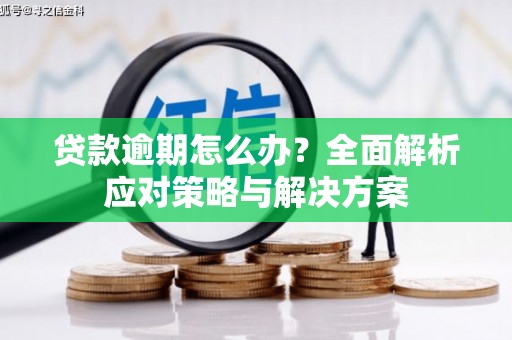 旌阳贷款逾期怎么办？全面解析应对策略与解决方案
