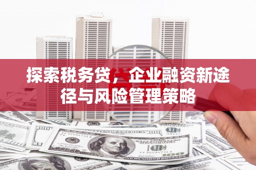 旌阳探索税务贷，企业融资新途径与风险管理策略