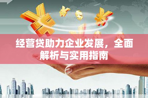 旌阳经营贷助力企业发展，全面解析与实用指南