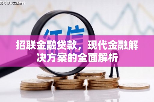 旌阳招联金融贷款，现代金融解决方案的全面解析