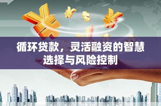 旌阳循环贷款，灵活融资的智慧选择与风险控制