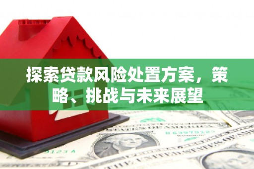 旌阳探索贷款风险处置方案，策略、挑战与未来展望