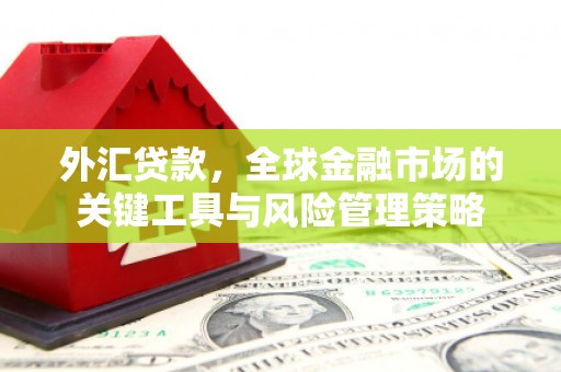 旌阳外汇贷款，全球金融市场的关键工具与风险管理策略