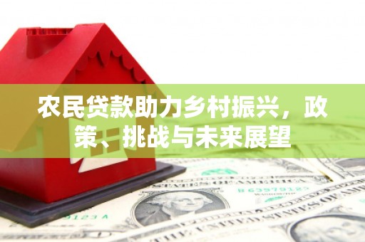 旌阳农民贷款助力乡村振兴，政策、挑战与未来展望