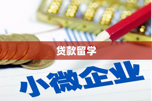旌阳贷款留学