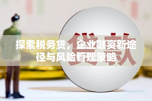 旌阳探索税务贷，企业融资新途径与风险管理策略