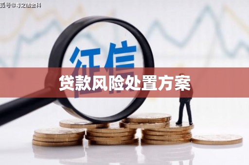 旌阳贷款风险处置方案