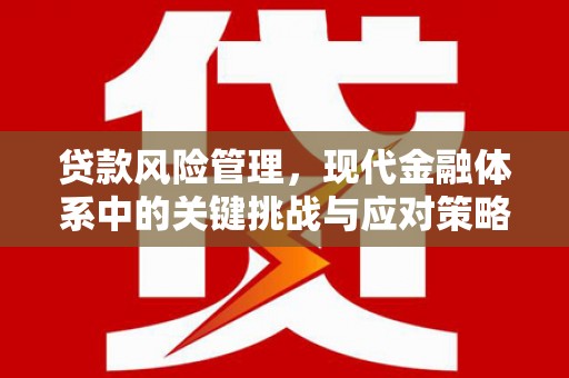 旌阳贷款风险管理，现代金融体系中的关键挑战与应对策略