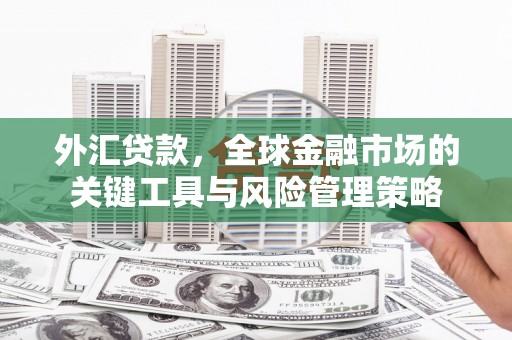 旌阳外汇贷款，全球金融市场的关键工具与风险管理策略