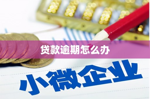 旌阳贷款逾期怎么办